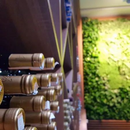 ホテル Vidikovac ズヴォルニク