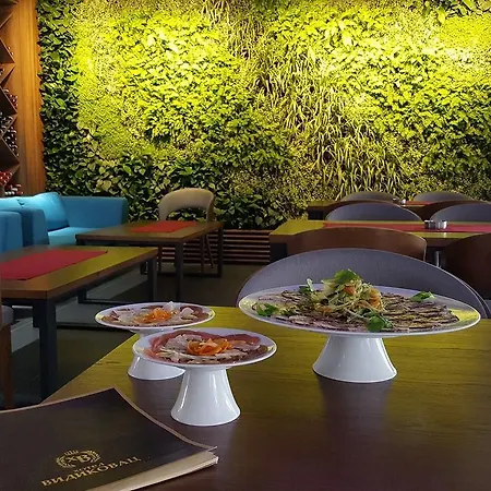 ホテル Vidikovac ズヴォルニク