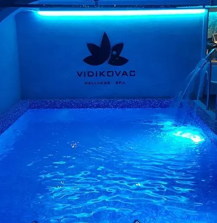 ホテル Vidikovac 4*