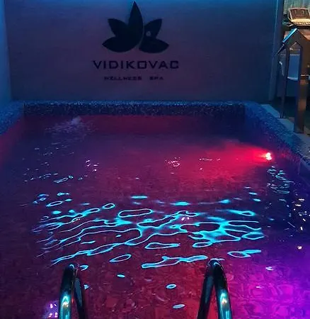ホテル Vidikovac ズヴォルニク